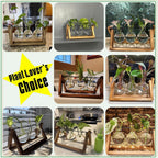 Plant Terrarium with Wooden Stand, Air Planter Bulb Glass Vase Metal Swivel Holder Retro Tabletop for Hydroponics Home Garden Office Decoration - 3 Bulb Vase